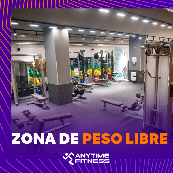 Entrenamiento con peso libre