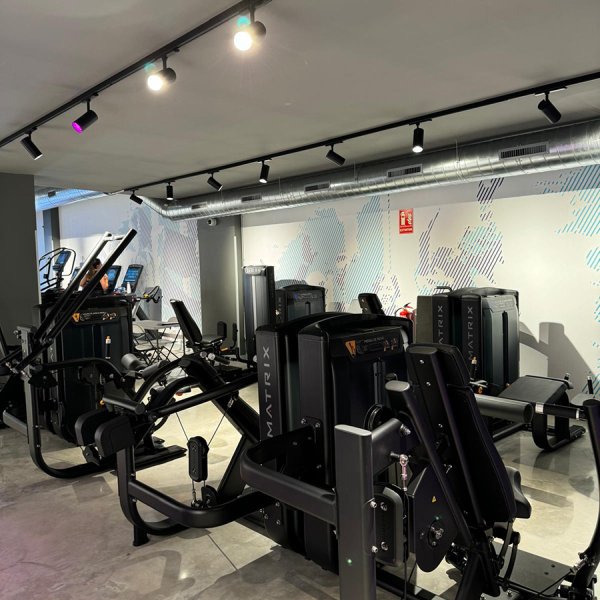 Imagen de WhatsApp 2024-09-18 a las 10.11.57_1bc11ced